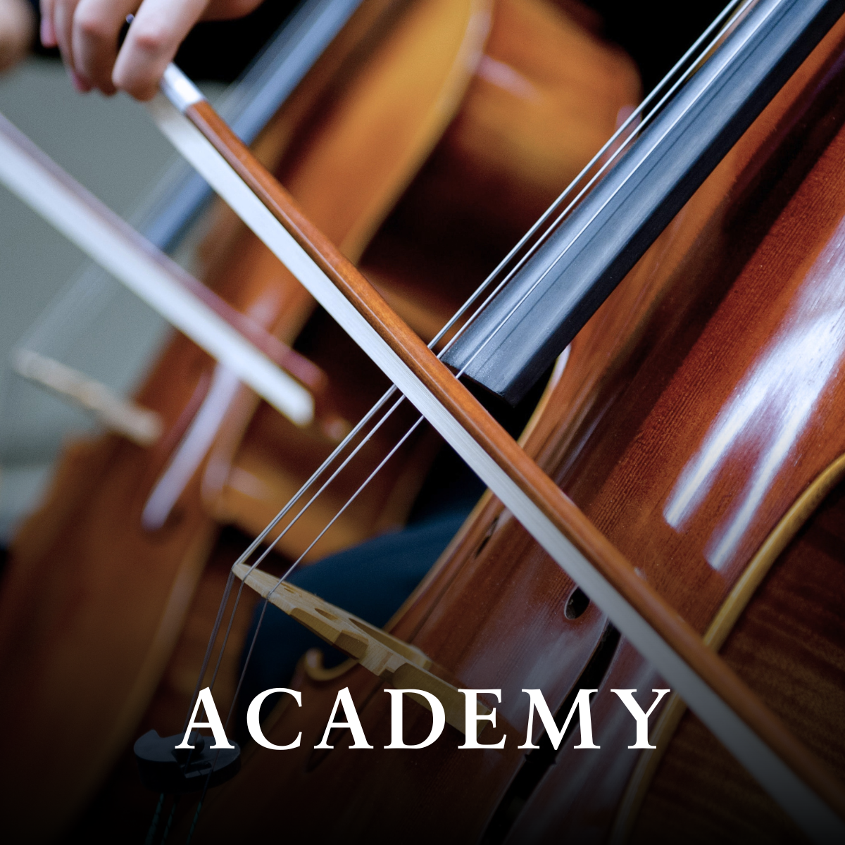 academy by bbico